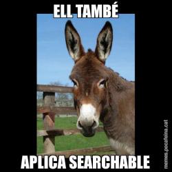 ELL TAMBÉ APLICA SEARCHABLE