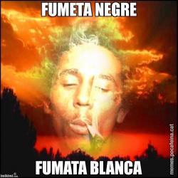 FUMETA NEGRE FUMATA BLANCA