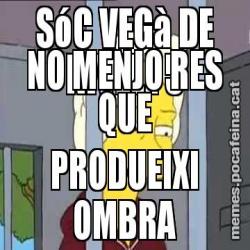 SóC VEGà DE NIVELL 5 NO MENJO RES QUE PRODUEIXI OMBRA