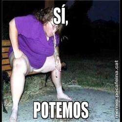SÍ, POTEMOS