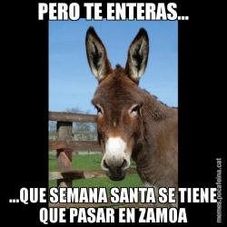 PERO TE ENTERAS... ...QUE SEMANA SANTA SE TIENE QUE PASAR EN ZAMOA