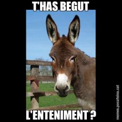 T'HAS BEGUT L'ENTENIMENT ?