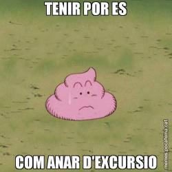 TENIR POR ES COM ANAR D'EXCURSIO