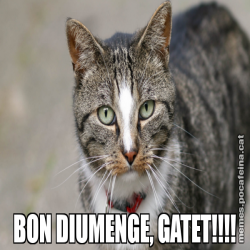 BON DIUMENGE, GATET!!!!