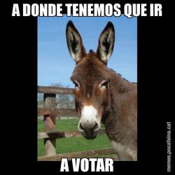A DONDE TENEMOS QUE IR A VOTAR