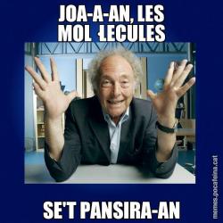 JOA-A-AN, LES MOL·LECULES SE'T PANSIRA-AN