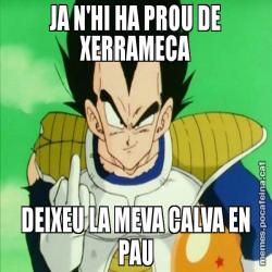 JA N'HI HA PROU DE XERRAMECA DEIXEU LA MEVA CALVA EN PAU