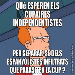 QUè ESPEREN ELS CUPAIRES INDEPENDENTISTES PER SEPARAR-SE DELS ESPANYOLISTES INFILTRATS QUE PARASITEN LA CUP ?