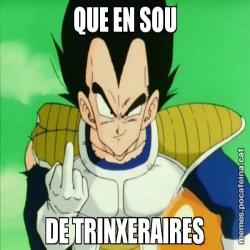 QUE EN SOU DE TRINXERAIRES