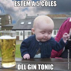 ESTEM A 5 COLES DEL GIN TONIC