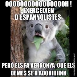 OOOOOOOOOOOOOOOOH ! EXERCEIXEN D'ESPANYOLISTES  PERÒ ELS FA VERGONYA  QUE ELS DEMÉS SE'N ADONIIIIINN