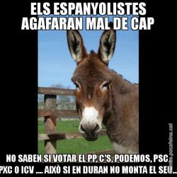 ELS ESPANYOLISTES AGAFARAN MAL DE CAP NO SABEN SI VOTAR EL PP, C'S, PODEMOS, PSC, PXC O ICV .... AIXÒ SI EN DURAN NO MONTA EL SEU...