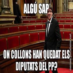ALGÚ SAP ON COLLONS HAN QUEDAT ELS DIPUTATS DEL PP?