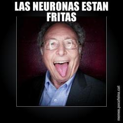 LAS NEURONAS ESTAN FRITAS