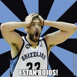 ESTAN BOJOS!