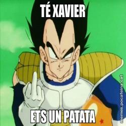 TÉ XAVIER ETS UN PATATA