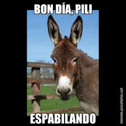 BON DÍA, PILI ESPABILANDO