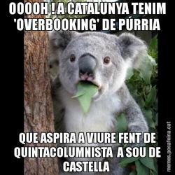 OOOOH ! A CATALUNYA TENIM 'OVERBOOKING' DE PÚRRIA QUE ASPIRA A VIURE FENT DE QUINTACOLUMNISTA  A SOU DE CASTELLA