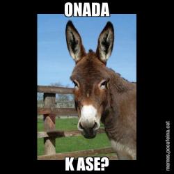 ONADA K ASE?