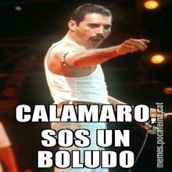 CALAMARO, SOS UN BOLUDO