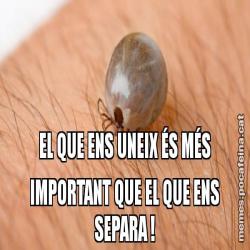 EL QUE ENS UNEIX ÉS MÉS IMPORTANT QUE EL QUE ENS SEPARA !