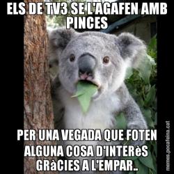 ELS DE TV3 SE L'AGAFEN AMB PINCES PER UNA VEGADA QUE FOTEN ALGUNA COSA D'INTERèS GRàCIES A L'EMPAR..