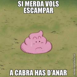 SI MERDA VOLS ESCAMPAR A CABRA HAS D'ANAR