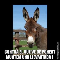 BON 2015                                         I CONTRA EL QUE VE DE PONENT MUNTEM UNA LLEVANTADA !