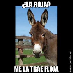 ¿LA ROJA? ME LA TRAE FLOJA