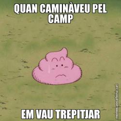QUAN CAMINÀVEU PEL CAMP EM VAU TREPITJAR