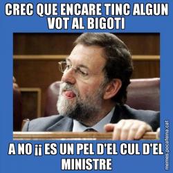 CREC QUE ENCARE TINC ALGUN VOT AL BIGOTI A NO ¡¡ ES UN PEL D'EL CUL D'EL MINISTRE