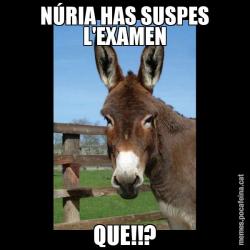 NÚRIA HAS SUSPES L'EXAMEN QUE!!?