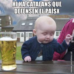 HI HA CATALANS QUE DEFENSEN EL PAÍSX