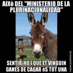 AIXò DEL "MINISTERIO DE LA PLURINACIONALIDAD" SENTIR-HO I QUE ET VINGUIN GANES DE CAGAR éS TOT UNA
