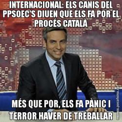 INTERNACIONAL: ELS CANIS DEL PPSOEC'S DIUEN QUE ELS FA POR EL PROCÉS CATALÀ MÉS QUE POR, ELS FA PÀNIC I TERROR HAVER DE TREBALLAR