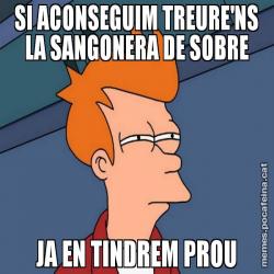 SI ACONSEGUIM TREURE'NS LA SANGONERA DE SOBRE JA EN TINDREM PROU