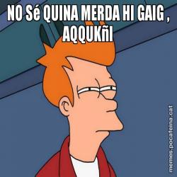 NO Sé QUINA MERDA HI GAIG , AQQUKñI