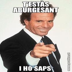 T'ESTÀS ABURGESANT I HO SAPS
