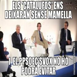 ELS 'CATALUFOS' ENS  DEIXARAN SENSE MAMELLA I  EL PPSOEC'SVOX NO HO PODRÀ EVITAR