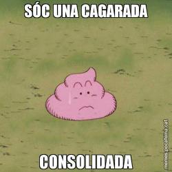 SÓC UNA CAGARADA CONSOLIDADA