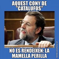 AQUEST CONY DE "CATALUFOS" NO ES RENDEIXEN: LA MAMELLA PERILLA