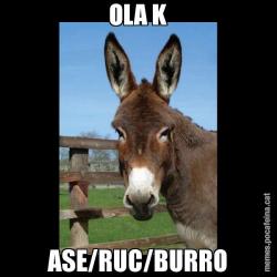 OLA K ASE/RUC/BURRO