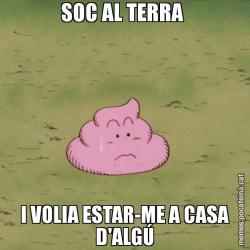 SOC AL TERRA  I VOLIA ESTAR-ME A CASA D'ALGÚ
