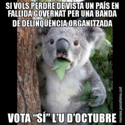 SI VOLS PERDRE DE VISTA UN PAÍS EN FALLIDA GOVERNAT PER UNA BANDA DE DELINQÜÈNCIA ORGANITZADA VOTA “SÍ” L’U D’OCTUBRE