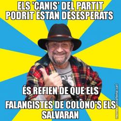 ELS 'CANIS' DEL PARTIT PODRIT ESTAN DESESPERATS  ÉS REFIEN DE QUE ELS FALANGISTES DE COLONO'S ELS SALVARAN