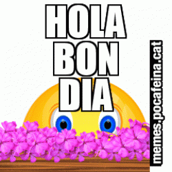 HOLA BON DIA