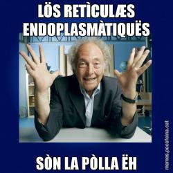 LÖS RETÌCULÆS ENDOPLASMÀTIQUËS SÒN LA PÒLLA ËH