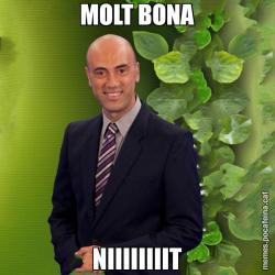 MOLT BONA NIIIIIIIIT
