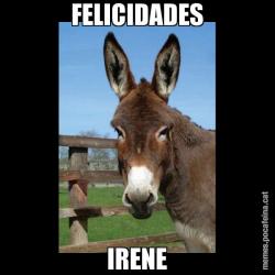 FELICIDADES IRENE