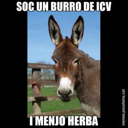 SOC UN BURRO DE ICV I MENJO HERBA